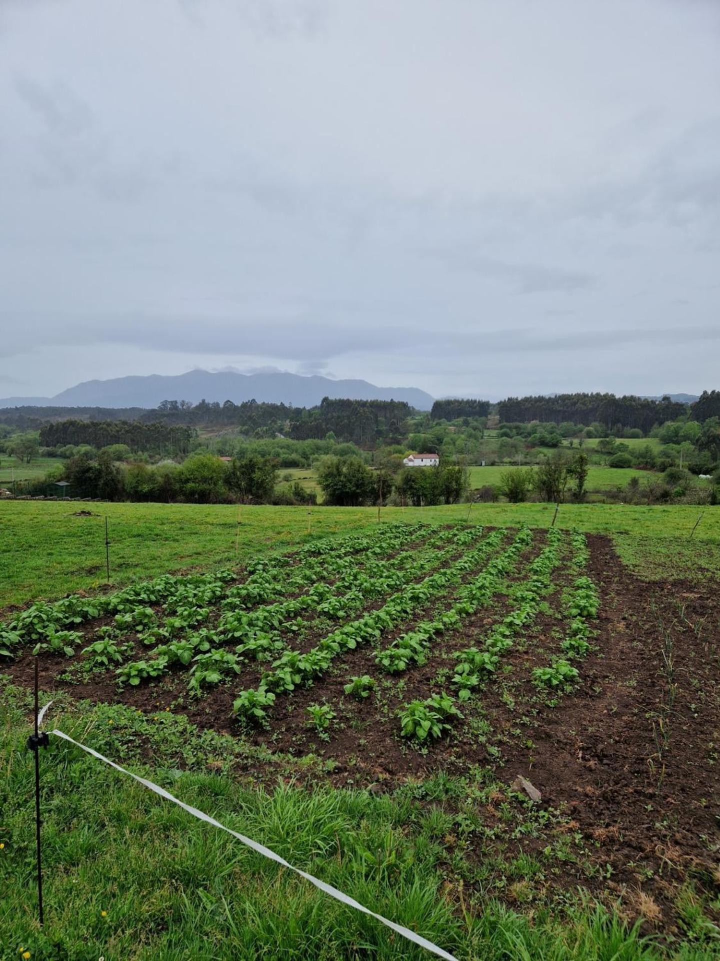 Turismo Rural El Piensu Villaviciosa  Exteriér fotografie