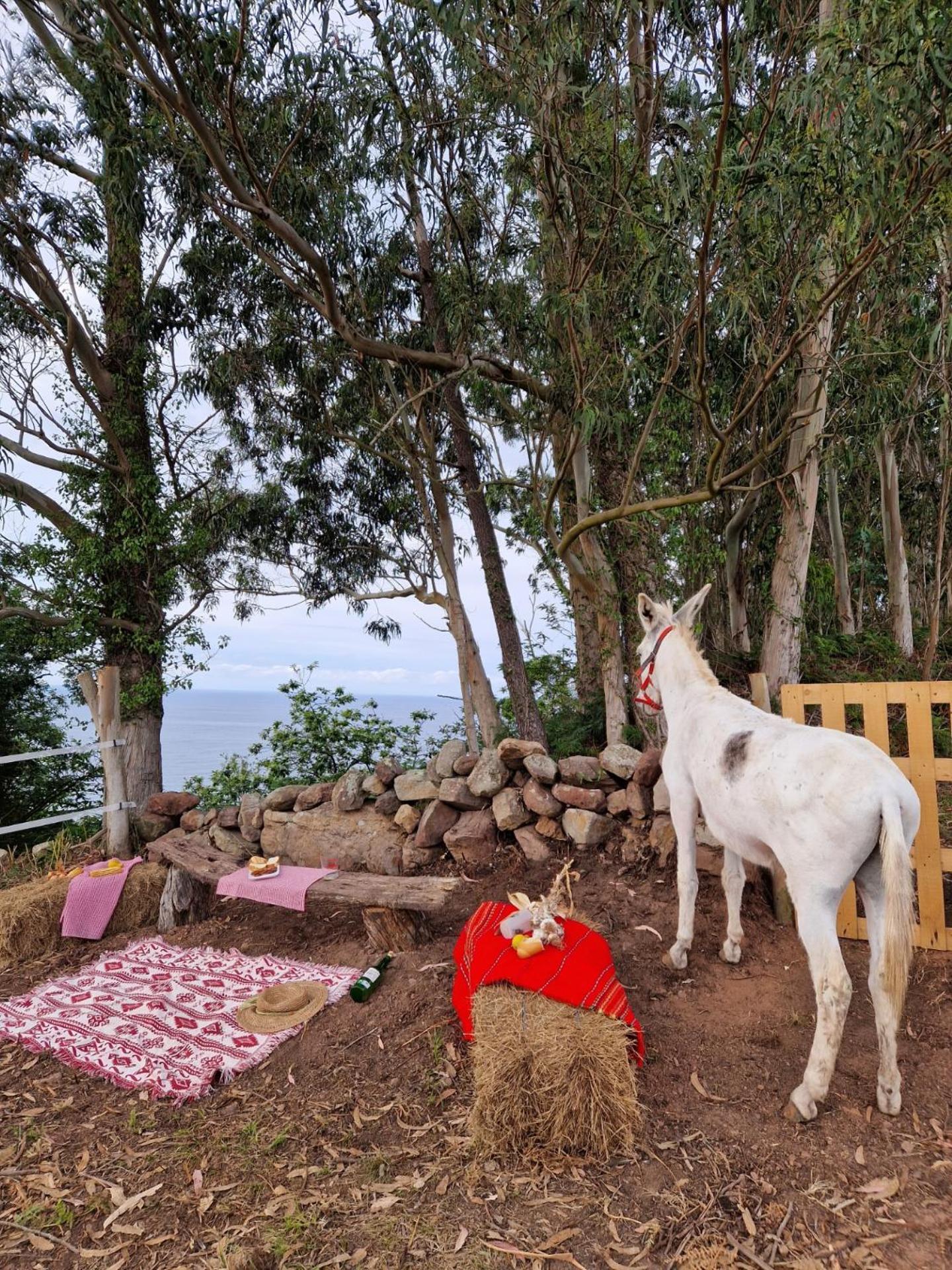 Turismo Rural El Piensu Villaviciosa  Exteriér fotografie
